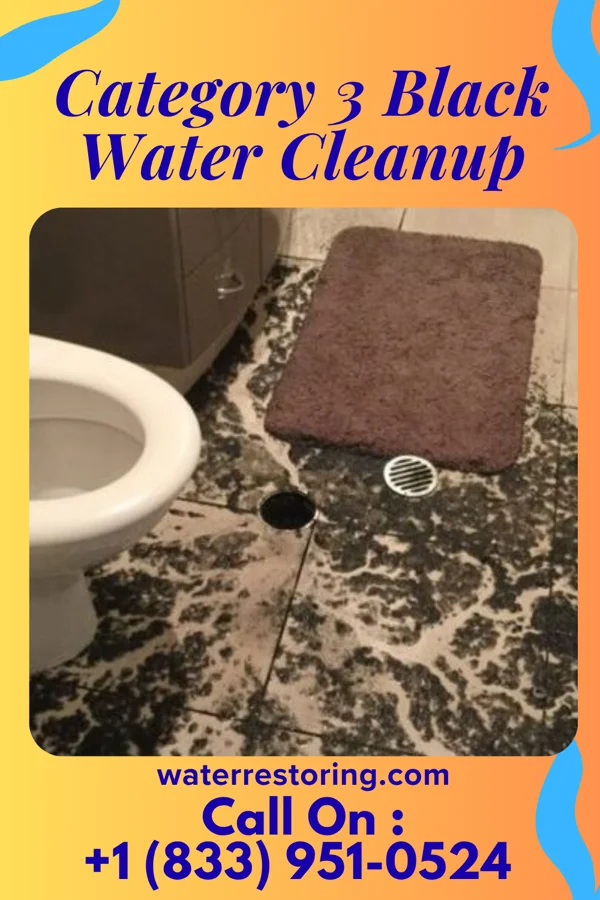 Category 3 Black Water Cleanup in Angie, LA